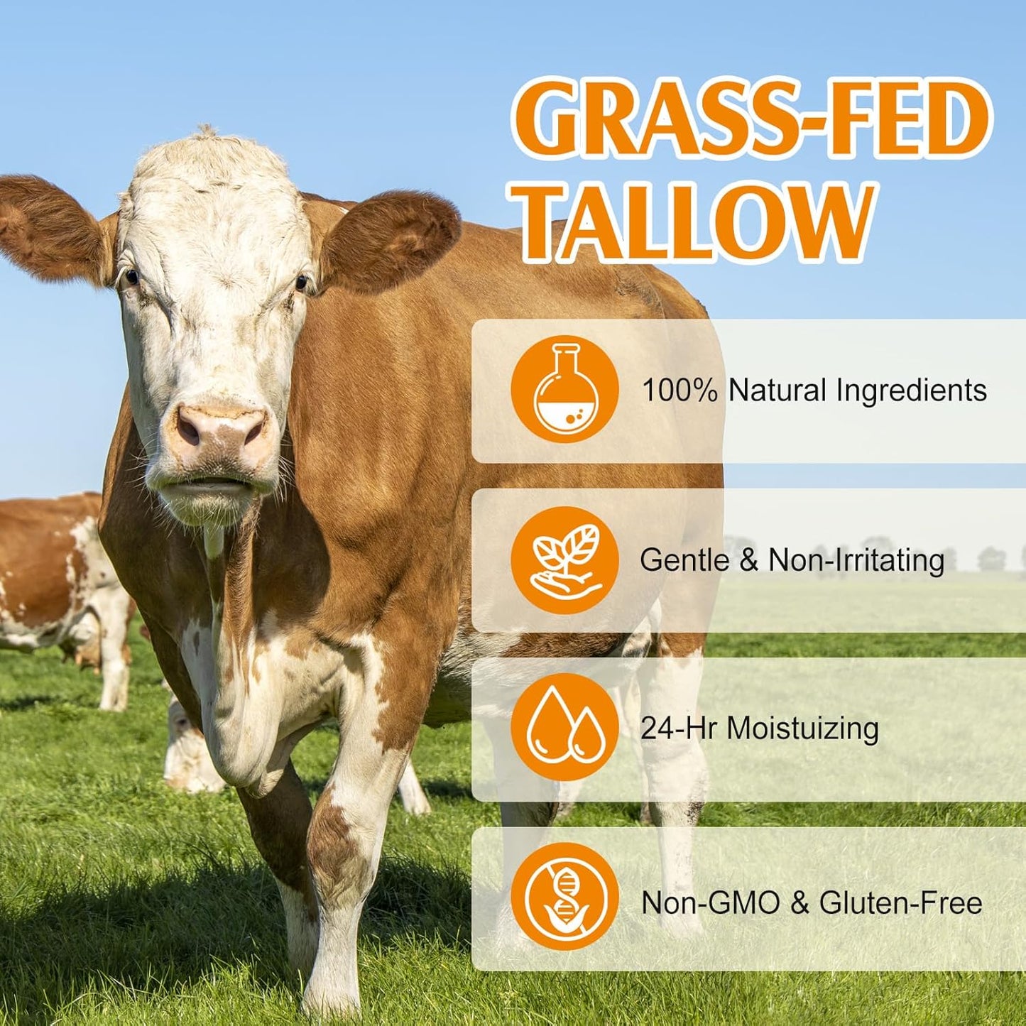 Beef Tallow Honey Balm Biff Tallow Skin Care