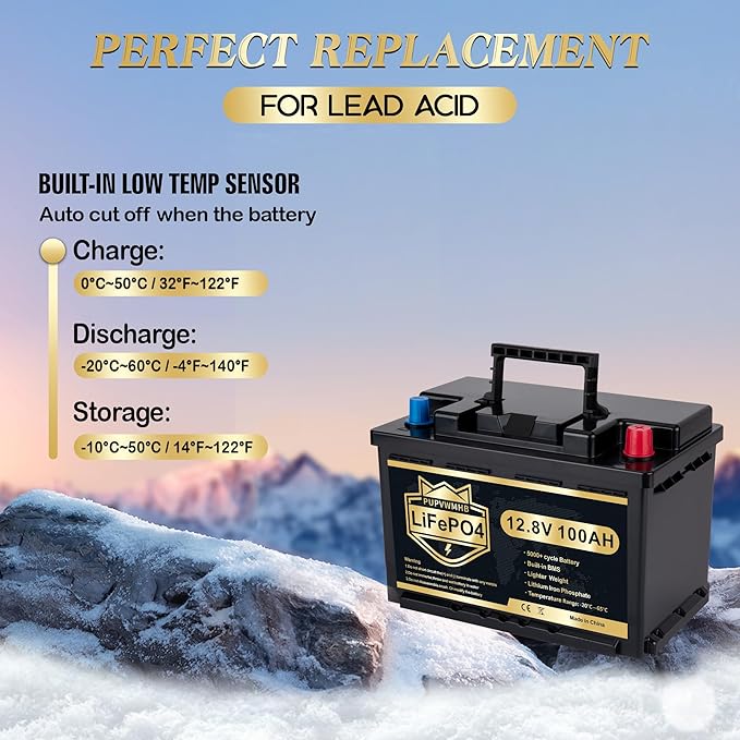 PUPVWMHB LiFePO4-bilbatteri på 12 V/100 Ah