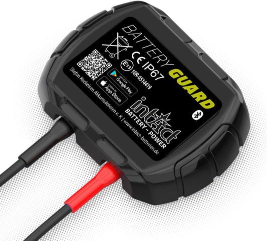 intAct Battery-Guard