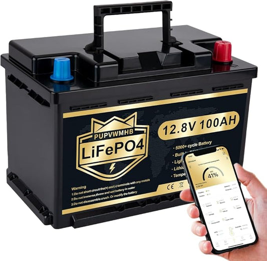 PUPVWMHB LiFePO4-bilbatteri på 12 V/100 Ah