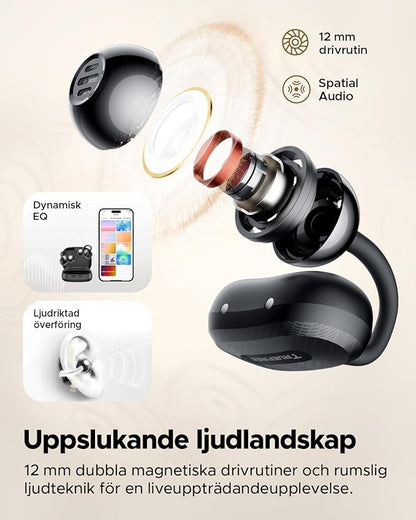 truefree C10 trådlösa hörlurar
